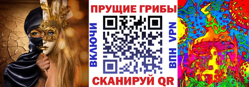 Галлюциногенные грибы Psilocybine cubensis  Нурлат 